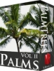 51 Palm Tree Textures - NetRender.com