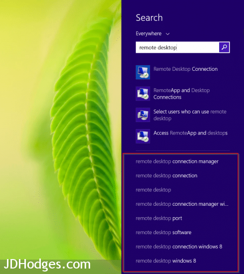 Windows 8.1 web search results/suggestions