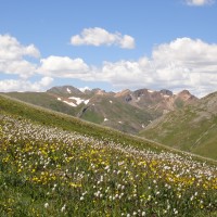 Mountains and wildflowers diagonal