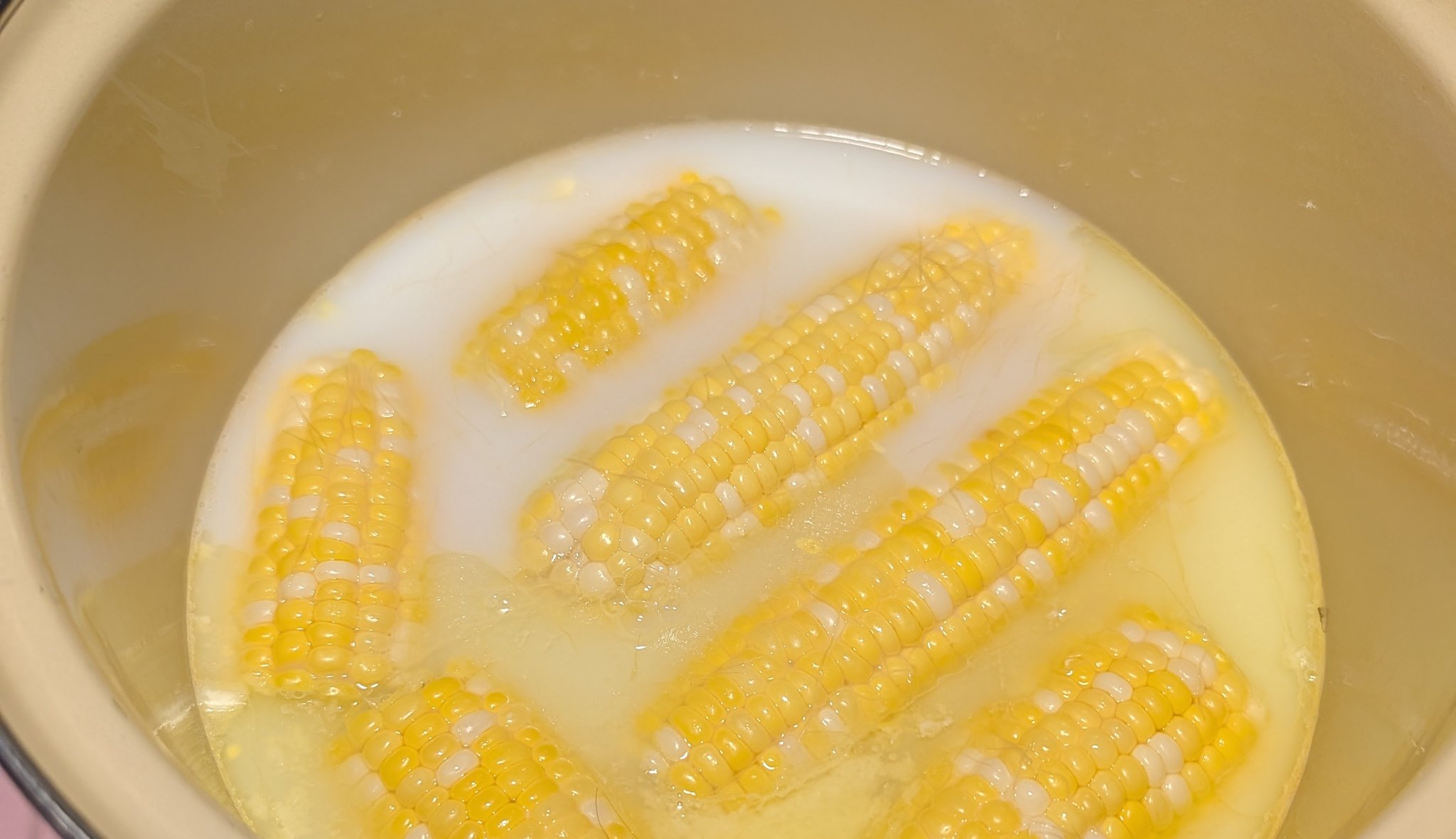Six halved corn cobs simmering in milky water with pools of melted butter on top, in a cream-colored enameled Dutch oven
